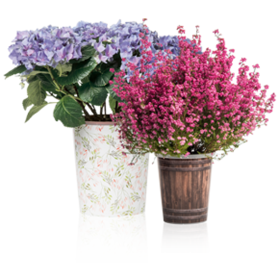 Teku Desenli Dekoratif Saksı MDF12-4  WATERWICK SAKSI