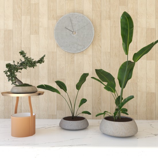 Büyük Beton Bonsai Saksısı - 46-90-100-155 Litre