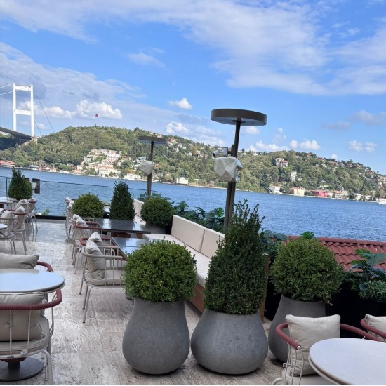 Beton Armut Saksı - 67x50cm