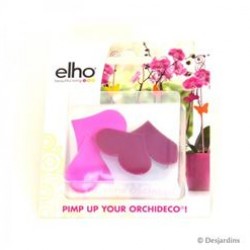 ORCHIDECO PIMP UP HEARTS ŞEFFAF-PEMBE-MOR