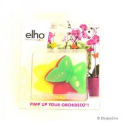 ORCHIDECO PIMP UP BUTTERFLY SARI-YEŞİL-KIRMIZI