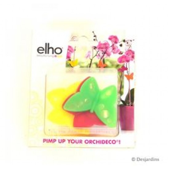 ORCHIDECO PIMP UP BUTTERFLY SARI-YEŞİL-KIRMIZI