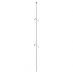 ORCHIDECO ELEGANCE ŞEFFAF