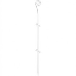 ORCHIDECO TWIST ŞEFFAF