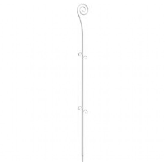 ORCHIDECO TWIST ŞEFFAF