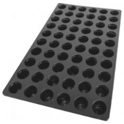 60 GÖZLÜ VİYOL - 52,5cm x 32cm