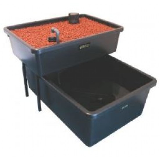 FISHPLANT AQUAPONIC AİLE SİSTEMİ