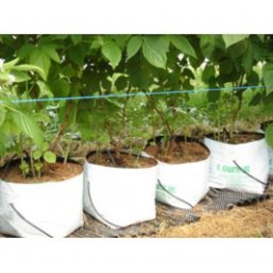 HİNDİSTAN CEVİZİ KABUĞU (COCOPEAT) POŞET 24x20x19cm