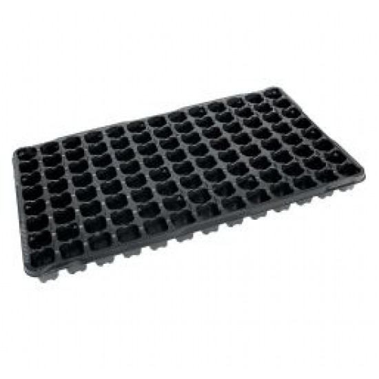 JP 3050/104 T  SİYAH - Fide ve Tohum Viyolü