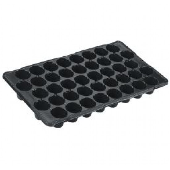 JP 3050/42 P  SİYAH - Fide ve Tohum Viyolü