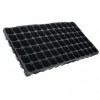 JP 3050/72 P  SİYAH - Fide ve Tohum Viyolü
