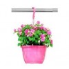 ASKILI SAKSI 5 Litre - MAL 25 + MHB 45 PEMBE 25x15,4cm