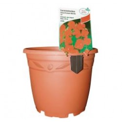 MDD 17  TOPRAK 10 adet - 17x14,6cm - 2 Litre