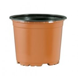 VCG 10.5 TOPRAK/SİYAH 10 adet Kaktüs ve Sukulent Saksısı