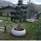 Beton Bonsai Saksısı Büyük - 15-35-55-85-120-270 Litre