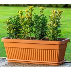 100 Adet - Balkon ve Bahçe Saksısı - 9 Litre - 460X193X170mm