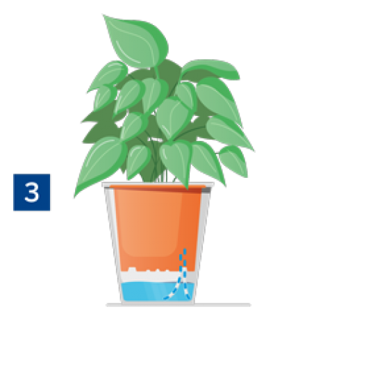Teku Desenli Dekoratif Saksı MDF17-4   WATERWICK