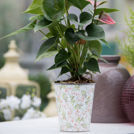 Teku Desenli Dekoratif Saksı MDF17-4   WATERWICK