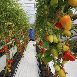 AUTOPOT EASY2GROW 16 SAKSILI SİSTEM