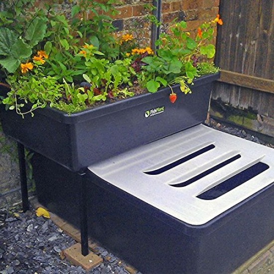 FISHPLANT AQUAPONIC AİLE SİSTEMİ