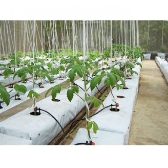 HİNDİSTAN CEVİZİ KABUĞU (COCOPEAT) TORBA ÇİLEK 100x12x12cm BEYAZ