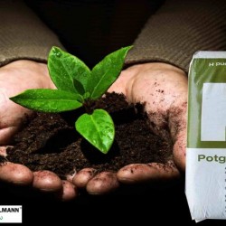 KLASMANN TORF FİDE TOPRAĞI TS1 200 LİTRE (KARGO DAHİL)