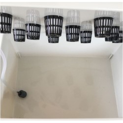 MİNİ HİDROPONİK TARIM SETİ