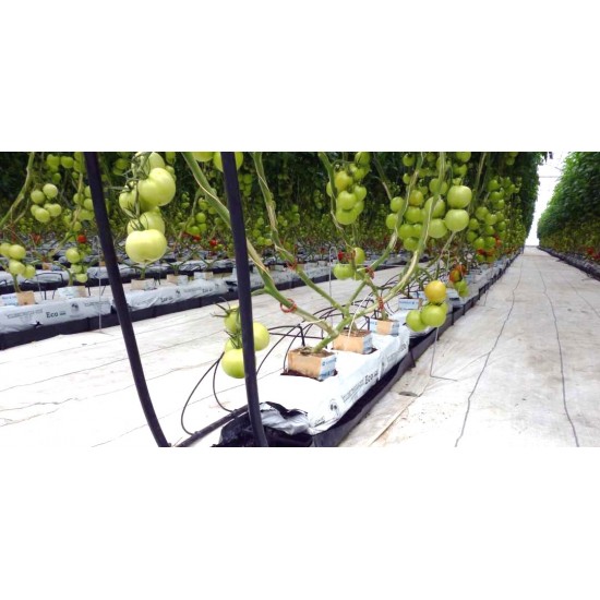 TOPRAKSIZ TARIM KANALI