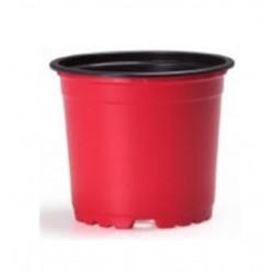 VCG 10.5 KIRMIZI 10 adet Kaktüs ve Sukulent Saksısı