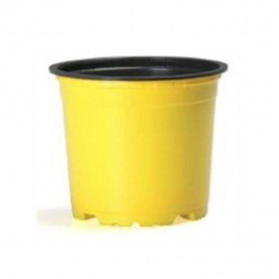 VCG 10.5 SARI 10 adet Kaktüs ve Sukulent Saksısı